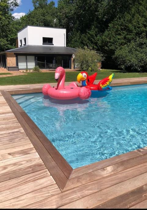 Magnifique Villa Avec Piscine En Sologne Vouzeron ภายนอก รูปภาพ